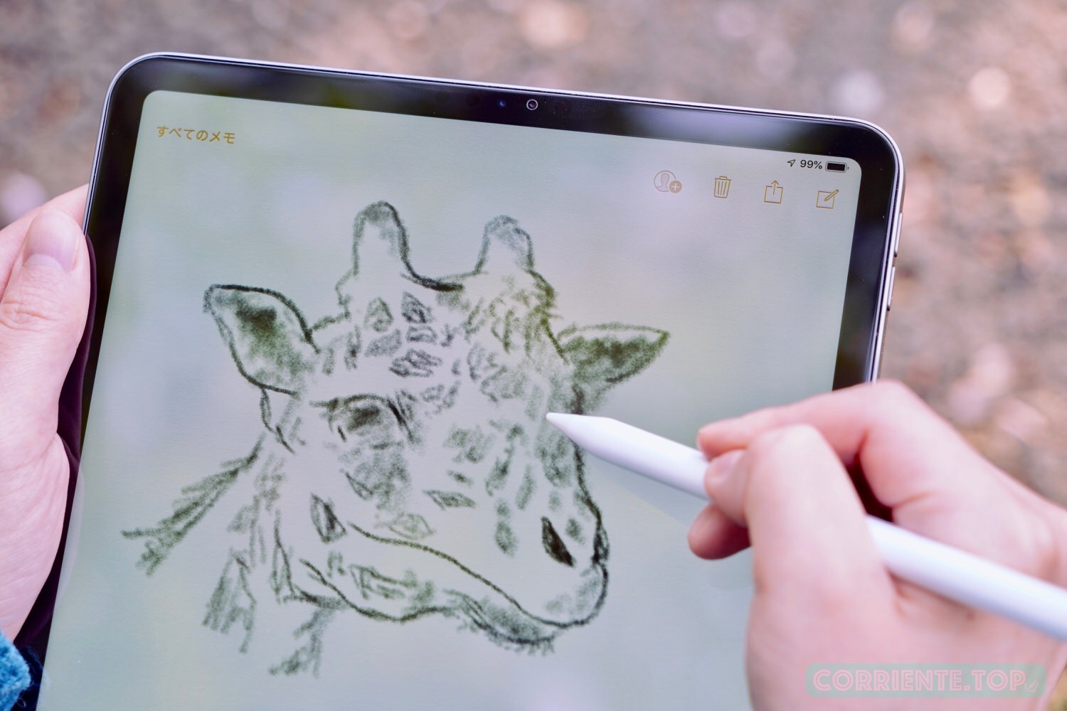 Apple Pencil レビュー (第2世代) | プロのイラストレーターにiPad Pro 