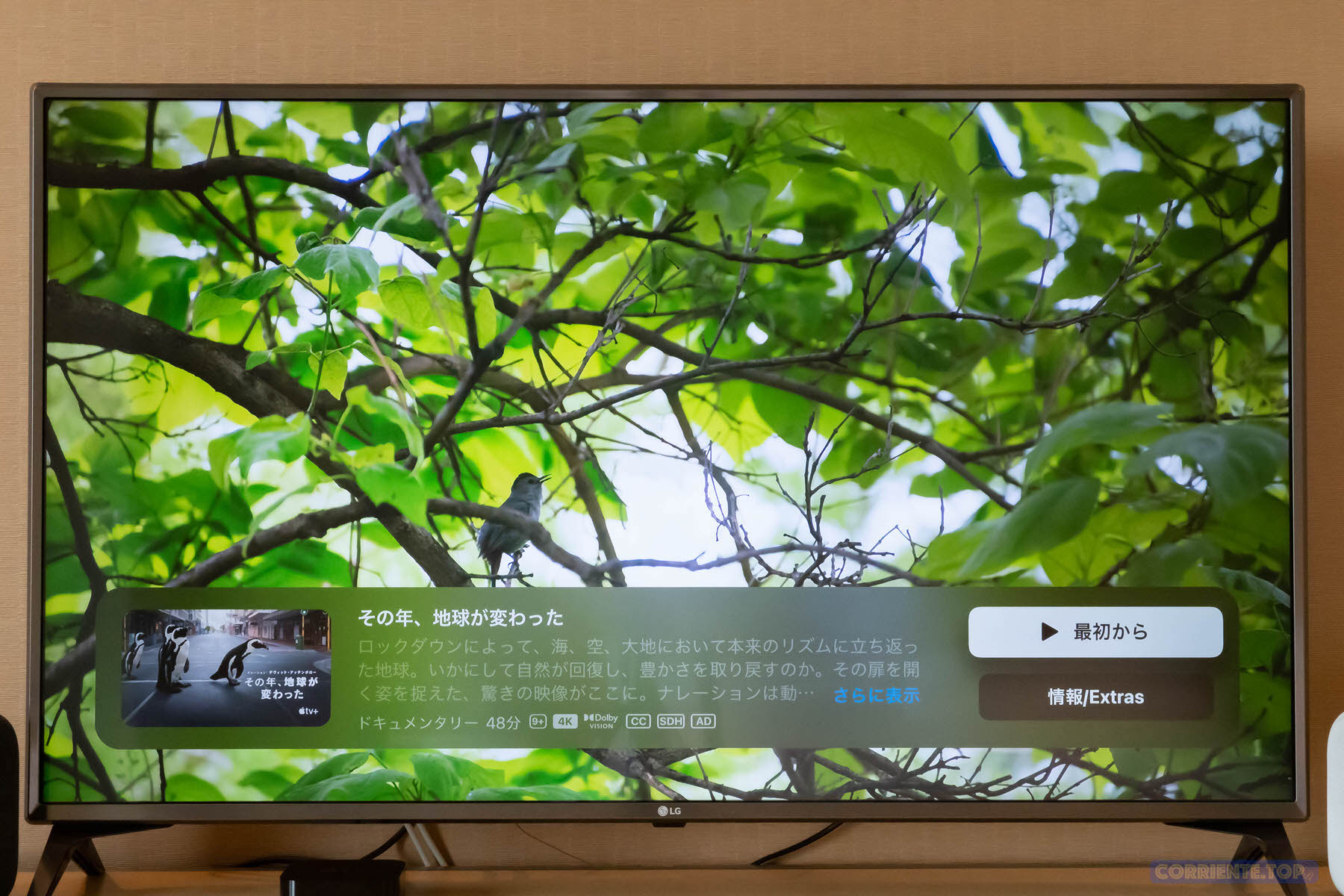Apple TV 4K レビュー | 使ってみると意外と便利。だけど一般ユーザーが買うべきか考えてみた〜Apple TVができることまとめ