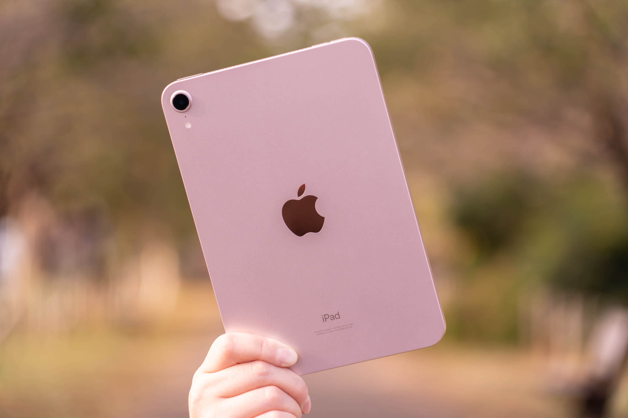 iPad mini第6世代 ピンク-