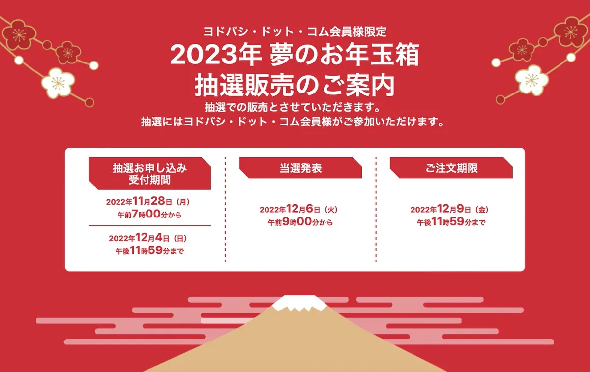 ヨドバシカメラの福袋 ｢2023年 夢のお年玉箱｣、抽選申込みが11月28日7 